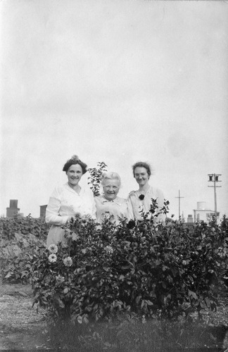 Click to see PIC 6-CAI 344 of Cairns family album (PIC 6-CAI)