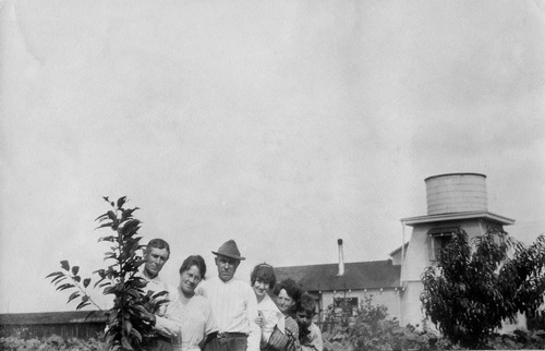 Click to see PIC 6-CAI 345 of Cairns family album (PIC 6-CAI)