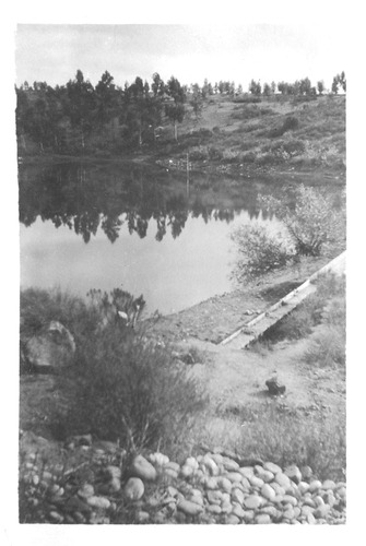 Click to see PIC 6-CAI 372 of Cairns family album (PIC 6-CAI)