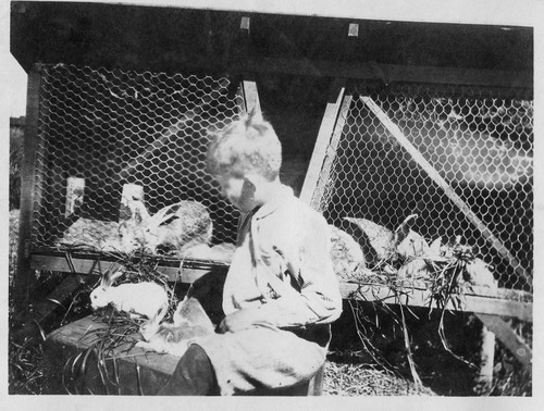 Click to see PIC 6-CAI 383 of Cairns family album (PIC 6-CAI)