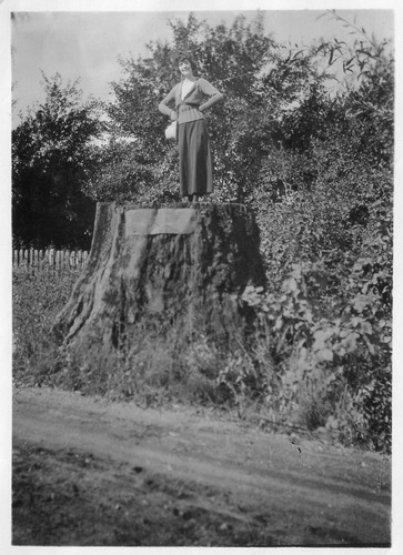 Click to see PIC 6-CAI 405 of Cairns family album (PIC 6-CAI)