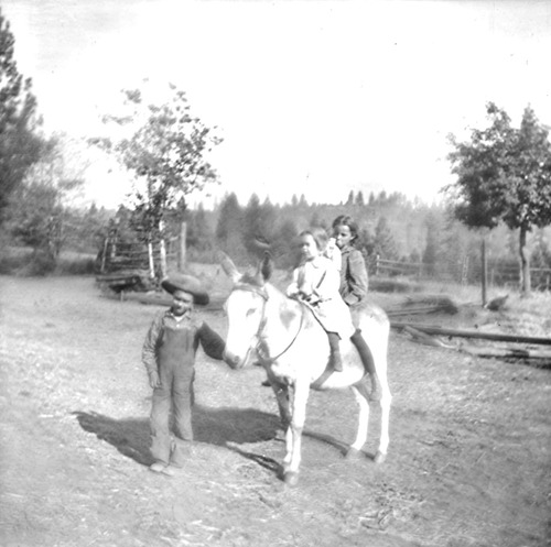 Click to see PIC 6-CAM 29 of Camptonville (PIC 6-CAM)