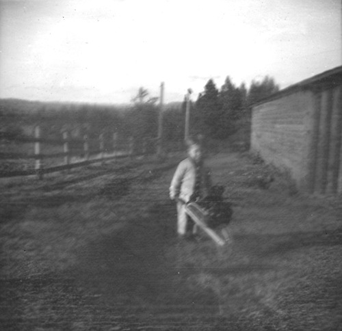 Click to see PIC 6-CAM 41 of Camptonville (PIC 6-CAM)