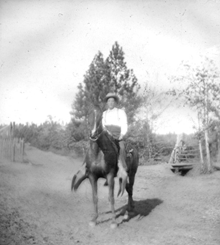 Click to see PIC 6-CAM 43 of Camptonville (PIC 6-CAM)