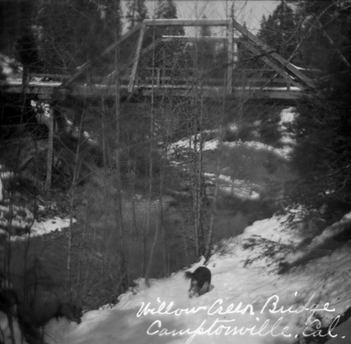 Click to see PIC 6-CAM 90 of Camptonville (PIC 6-CAM)