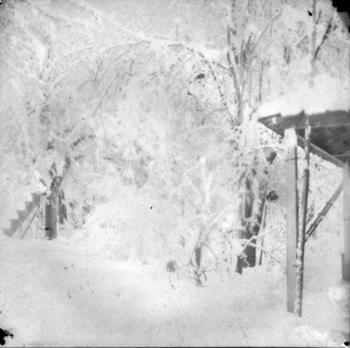 Click to see PIC 6-CAM 95 of Camptonville (PIC 6-CAM)