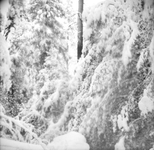 Click to see PIC 6-CAM 98 of Camptonville (PIC 6-CAM)