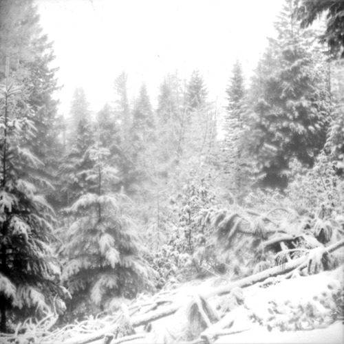 Click to see PIC 6-CAM 99 of Camptonville (PIC 6-CAM)
