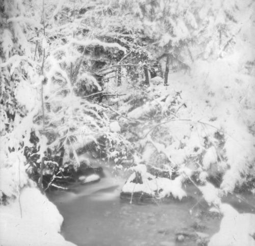 Click to see PIC 6-CAM 100 of Camptonville (PIC 6-CAM)