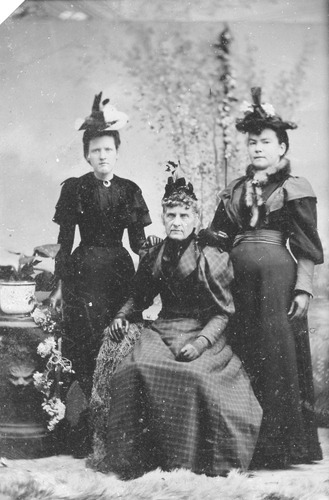 Click to see PIC 6-CHA 11 of Chapman Collection (PIC 6-CHA)