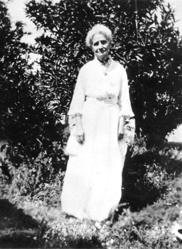 Click to see PIC 6-CHA 242 of Chapman Collection (PIC 6-CHA)