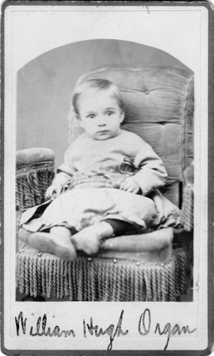 Click to see PIC 6-CHA 264 of Chapman Collection (PIC 6-CHA)