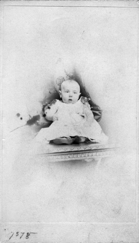 Click to see PIC 6-CHA 308 of Chapman Collection (PIC 6-CHA)