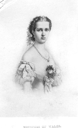 Click to see PIC 6-CHA 313 of Chapman Collection (PIC 6-CHA)
