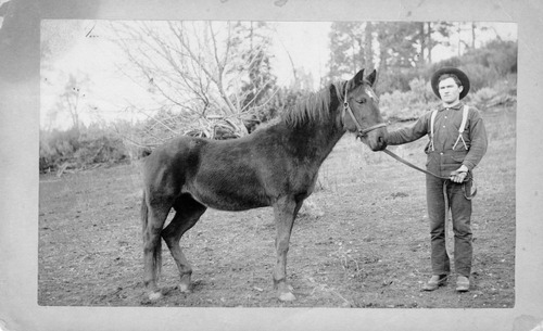 Click to see PIC 6-CHA 330 of Chapman Collection (PIC 6-CHA)