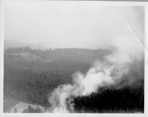 Click to see PIC 6-CHA 337 of Chapman Collection (PIC 6-CHA)