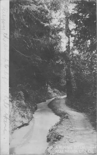 Click to see PIC 6-CHA 345 of Chapman Collection (PIC 6-CHA)