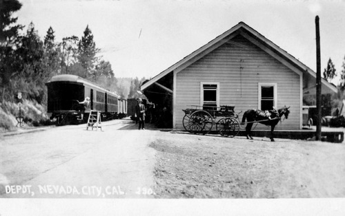 Click to see PIC 6-CHA 350 of Chapman Collection (PIC 6-CHA)