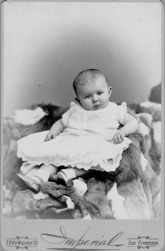 Click to see PIC 6-CHA 368 of Chapman Collection (PIC 6-CHA)
