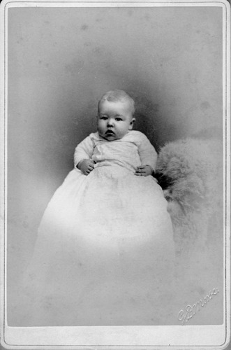 Click to see PIC 6-CHA 382 of Chapman Collection (PIC 6-CHA)