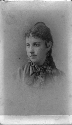 Click to see PIC 6-CHA 397 of Chapman Collection (PIC 6-CHA)