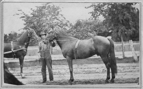 Click to see PIC 6-CHA 451 of Chapman Collection (PIC 6-CHA)