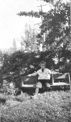 Click to see PIC 6-CHA 453 of Chapman Collection (PIC 6-CHA)