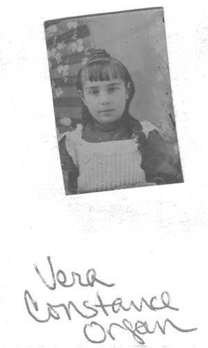 Click to see PIC 6-CHA 475 of Chapman Collection (PIC 6-CHA)