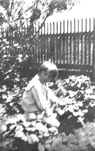 Click to see PIC 6-CHA 476 of Chapman Collection (PIC 6-CHA)