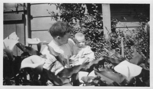 Click to see PIC 6-CHA 479 of Chapman Collection (PIC 6-CHA)
