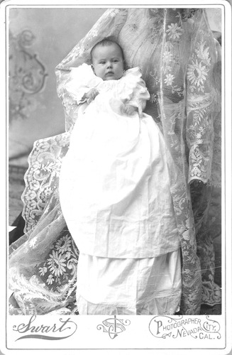 Click to see PIC 6-CHA 499 & 499B of Chapman Collection (PIC 6-CHA)