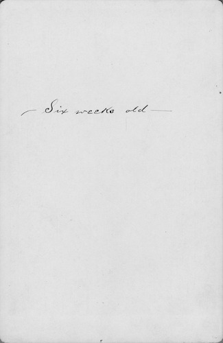Click to see PIC 6-CHA 530-BACK of Chapman Collection (PIC 6-CHA)