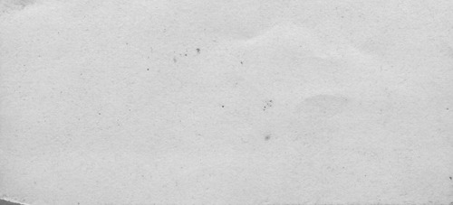 Click to see PIC 6-CHA 539-BACK of Chapman Collection (PIC 6-CHA)