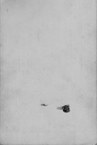 Click to see PIC 6-CHA 577-BACK of Chapman Collection (PIC 6-CHA)