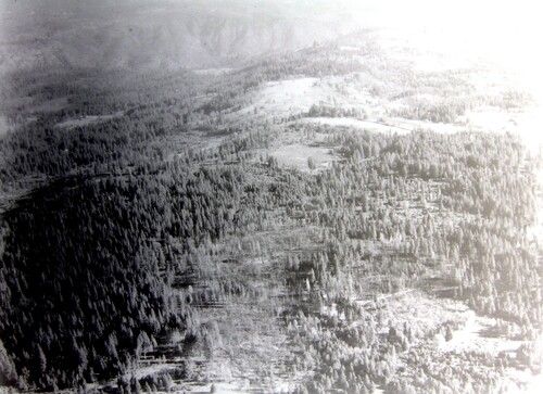 Click to see PIC 6-CHA 617C of Chapman Collection (PIC 6-CHA)