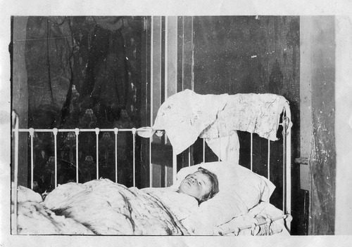 Click to see PIC 6-CHA 645 of Chapman Collection (PIC 6-CHA)
