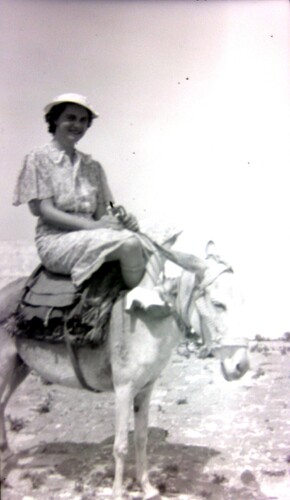 Click to see PIC 6-CHA-NEG 11 of Chapman Collection (PIC 6-CHA)