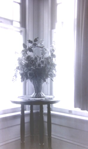 Click to see PIC 6-CHA-NEG 13 of Chapman Collection (PIC 6-CHA)