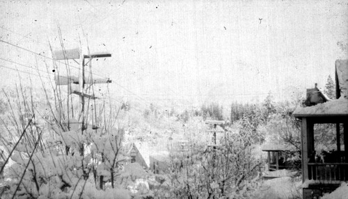 Click to see PIC 6-CHA-NEG 17 of Chapman Collection (PIC 6-CHA)