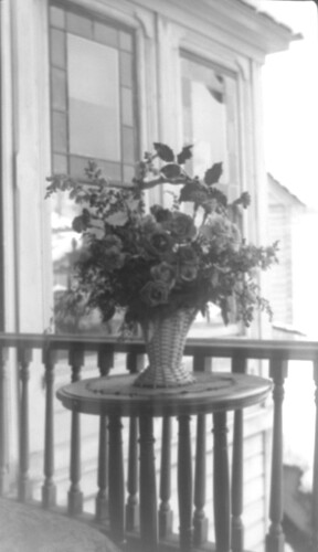 Click to see PIC 6-CHA-NEG 18 of Chapman Collection (PIC 6-CHA)