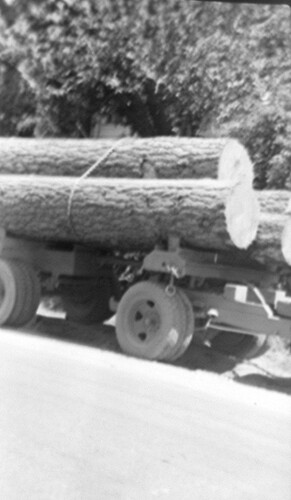 Click to see PIC 6-CHA-NEG 19 of Chapman Collection (PIC 6-CHA)