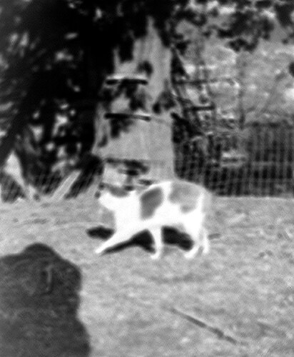 Click to see PIC 6-CHA-NEG 27 of Chapman Collection (PIC 6-CHA)