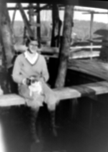 Click to see PIC 6-CHA-NEG 33 of Chapman Collection (PIC 6-CHA)