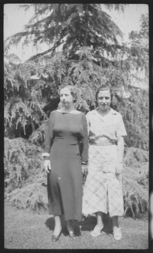 Click to see PIC 6-CHA-NEG 61 of Chapman Collection (PIC 6-CHA)