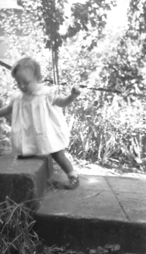Click to see PIC 6-CHA-NEG 69 of Chapman Collection (PIC 6-CHA)