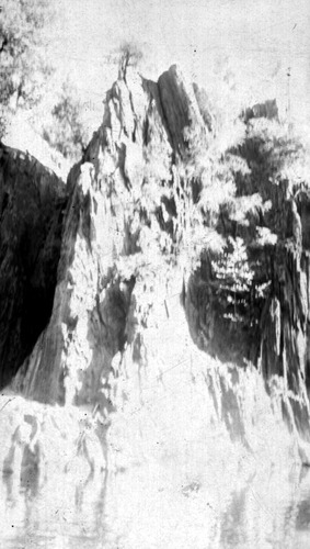 Click to see PIC 6-CHA-NEG 73 of Chapman Collection (PIC 6-CHA)