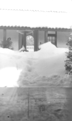 Click to see PIC 6-CHA-NEG 83 of Chapman Collection (PIC 6-CHA)