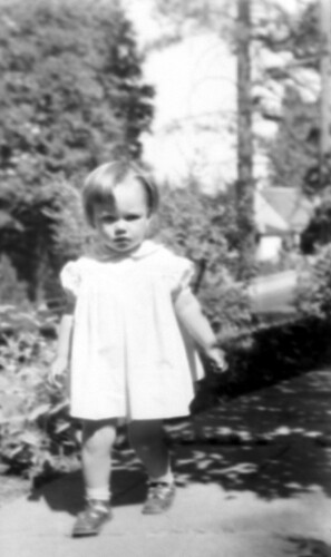 Click to see PIC 6-CHA-NEG 84 of Chapman Collection (PIC 6-CHA)