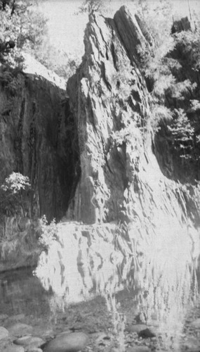 Click to see PIC 6-CHA-NEG 86 of Chapman Collection (PIC 6-CHA)