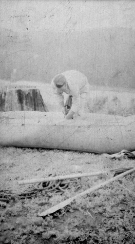 Click to see PIC 6-CHA-NEG 90 of Chapman Collection (PIC 6-CHA)